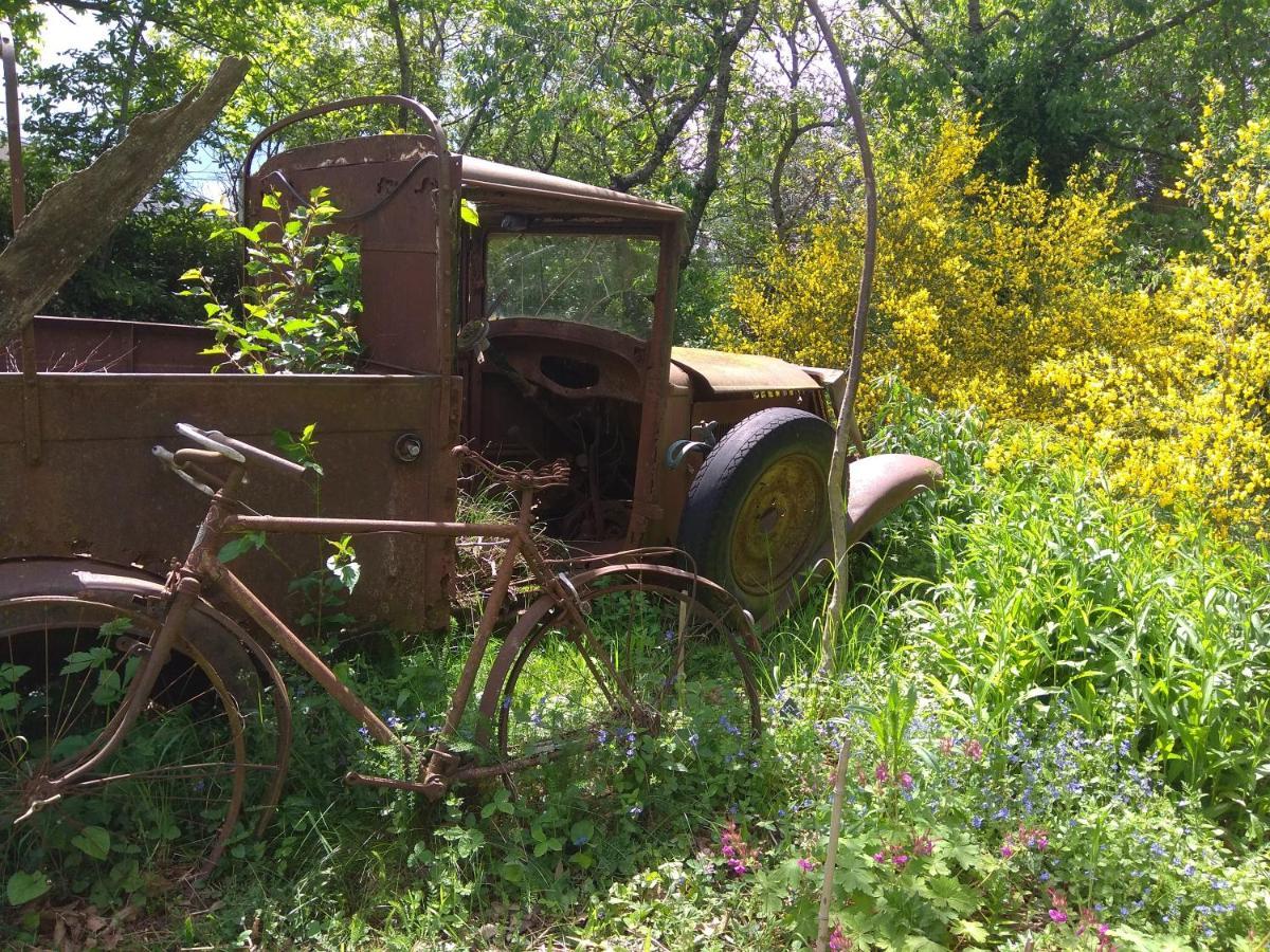 La Ferme Les Mamours La Bastide-l'Eveque Exteriör bild